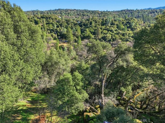 39309 Forest Park Lane, Oakhurst, CA 93644