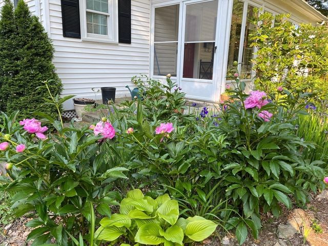 21 Howe St, Wellesley, MA 02482