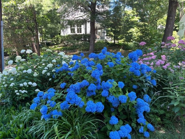 21 Howe St, Wellesley, MA 02482