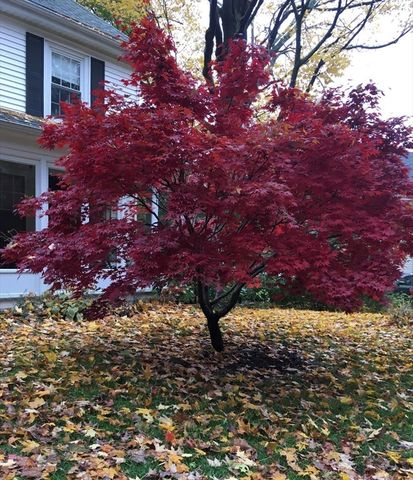 21 Howe St, Wellesley, MA 02482