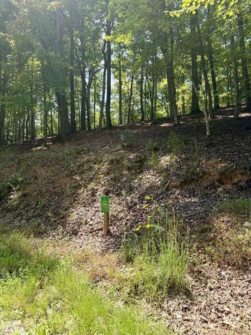 LOT 159 Tracks Hollow, Murphy, NC 28906