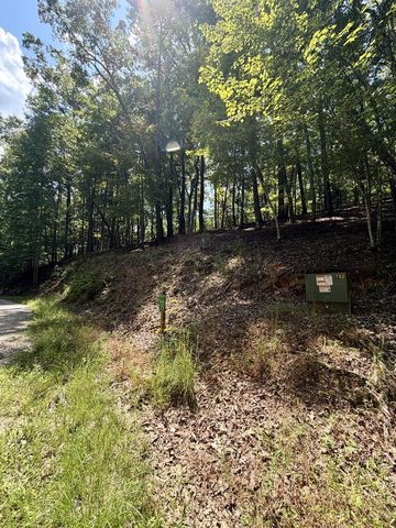 LOT 159 Tracks Hollow, Murphy, NC 28906