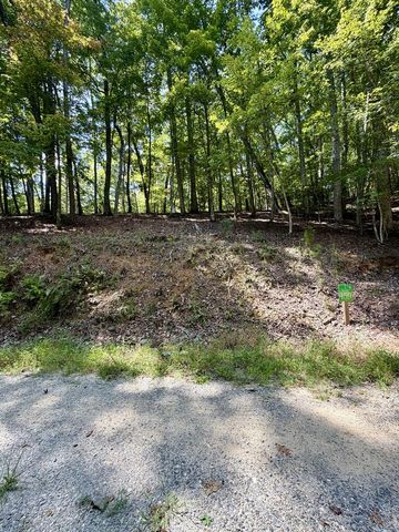 LOT 159 Tracks Hollow, Murphy, NC 28906