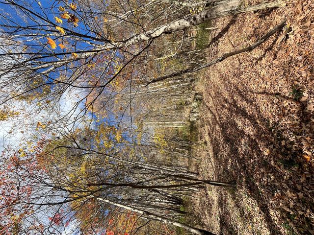 00 Debruce Road, Livingston Manor, NY 12758