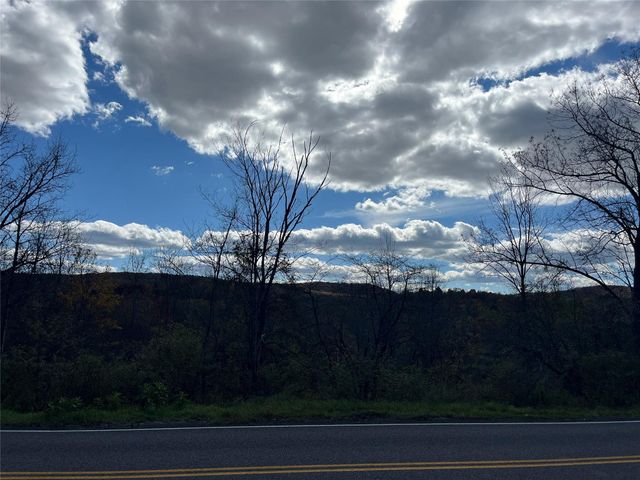 00 Debruce Road, Livingston Manor, NY 12758