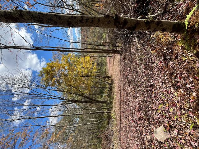 00 Debruce Road, Livingston Manor, NY 12758