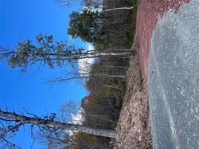 00 Debruce Road, Livingston Manor, NY 12758