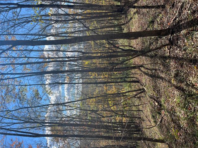 00 Debruce Road, Livingston Manor, NY 12758