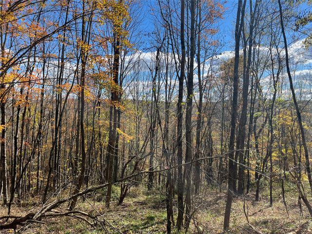 00 Debruce Road, Livingston Manor, NY 12758
