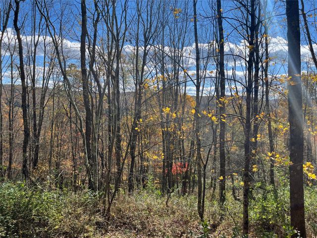 00 Debruce Road, Livingston Manor, NY 12758