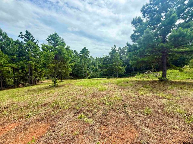 16121 W Valley View Ct, Winona, TX 75792