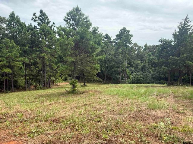 16121 W Valley View Ct, Winona, TX 75792