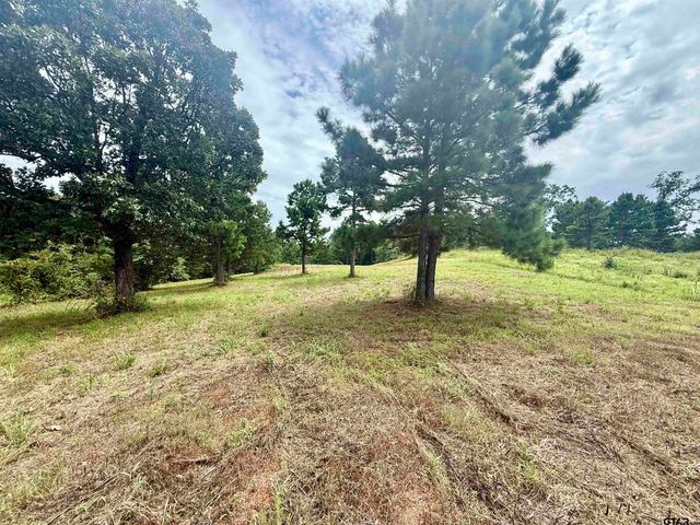 16121 W Valley View Ct, Winona, TX 75792