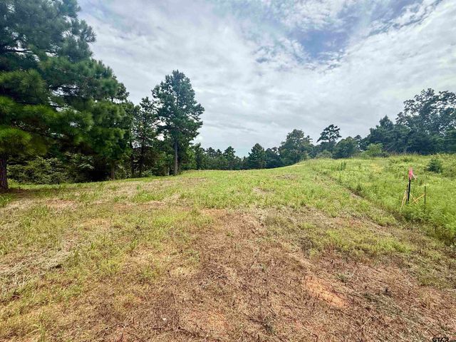 16121 W Valley View Ct, Winona, TX 75792