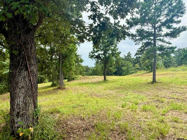 16121 W Valley View Ct, Winona, TX 75792