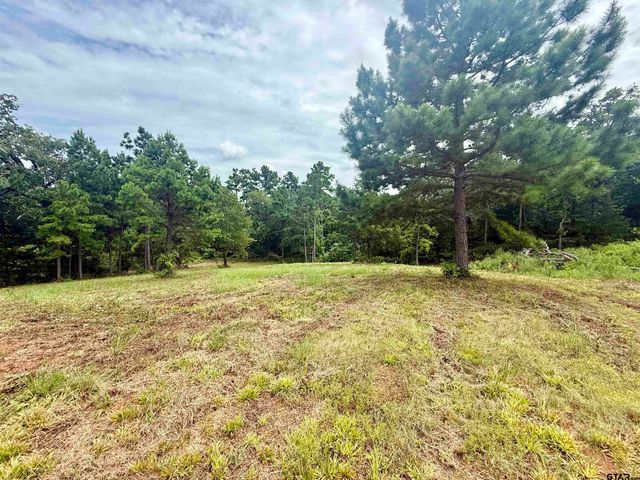 16121 W Valley View Ct, Winona, TX 75792