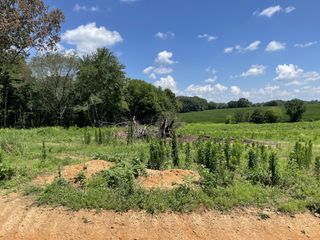0 Hidden Hills Lane, Summertown, TN 38483