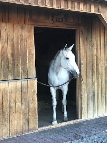 2864 Sawyer Bend Rd, Franklin, TN 37069