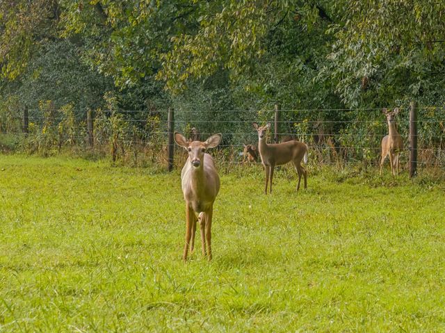 2864 Sawyer Bend Rd, Franklin, TN 37069