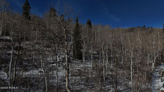 10215 N Basin Canyon Road, Park City, UT 84098