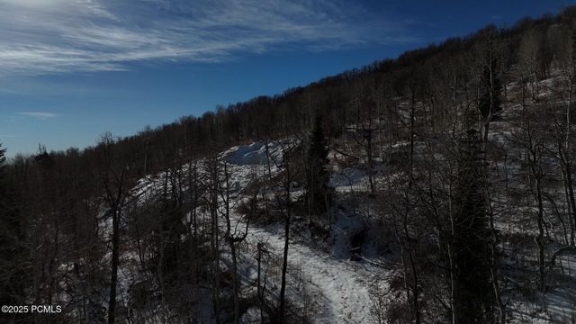 10215 N Basin Canyon Road, Park City, UT 84098