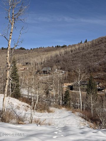 10215 N Basin Canyon Road, Park City, UT 84098