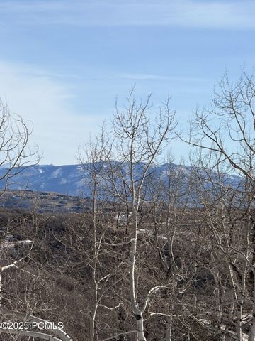 10215 N Basin Canyon Road, Park City, UT 84098