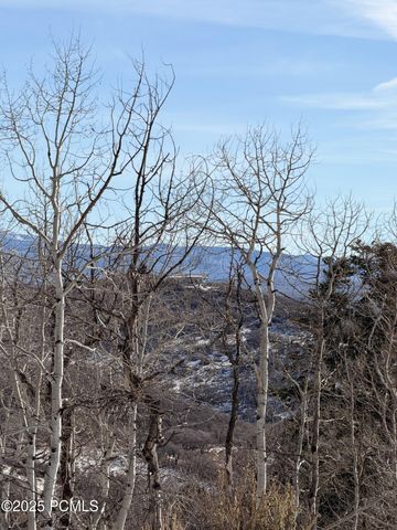 10215 N Basin Canyon Road, Park City, UT 84098