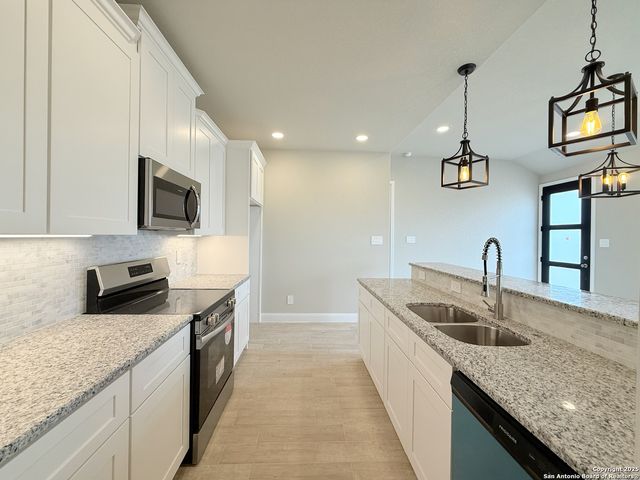 133 Camino Verde Ct, La Vernia, TX 78121