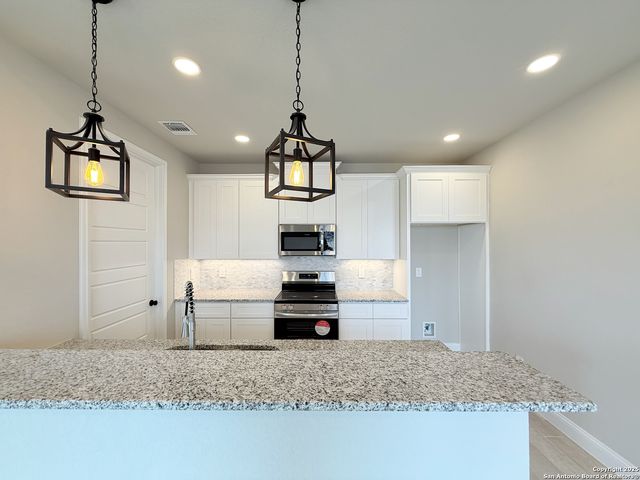 133 Camino Verde Ct, La Vernia, TX 78121