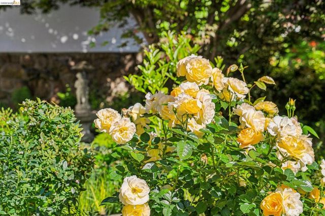 305 Sheridan Ave, Piedmont, CA 94611
