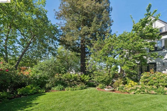 305 Sheridan Ave, Piedmont, CA 94611