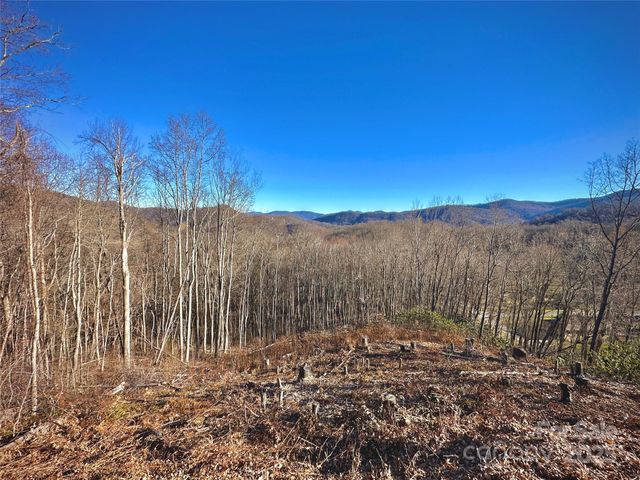 0 Mountain Watch Drive, Waynesville, NC 28785