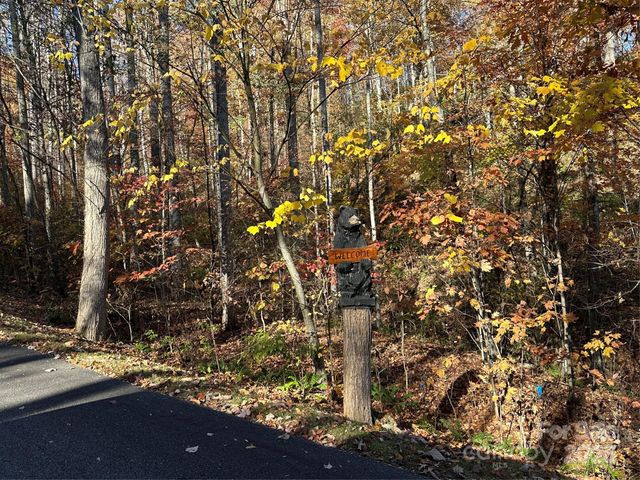 0 Mountain Watch Drive, Waynesville, NC 28785