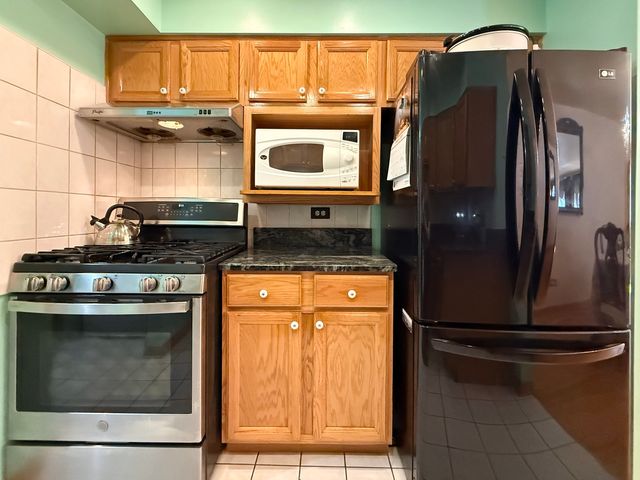 2105 S Tan Court C, Chicago, IL 60616