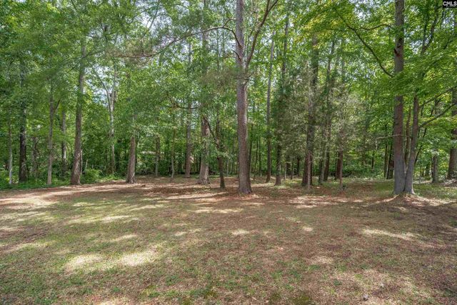 249 Wychwood Road, Irmo, SC 29063