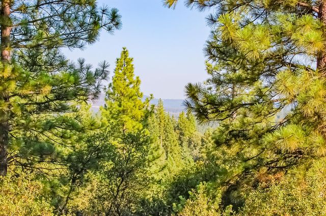 999 Doe Rd, Rail Road Flat, CA 95248