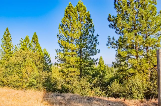 999 Doe Rd, Rail Road Flat, CA 95248