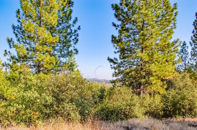 999 Doe Rd, Rail Road Flat, CA 95248