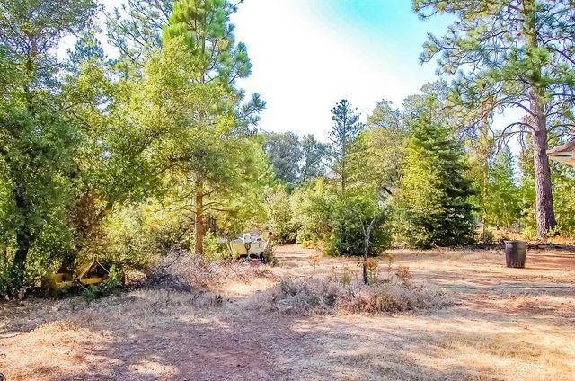 999 Doe Rd, Rail Road Flat, CA 95248
