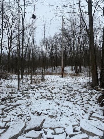0 Williams Road, Argentine Township, MI 48436