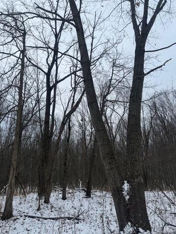 0 Williams Road, Argentine Township, MI 48436