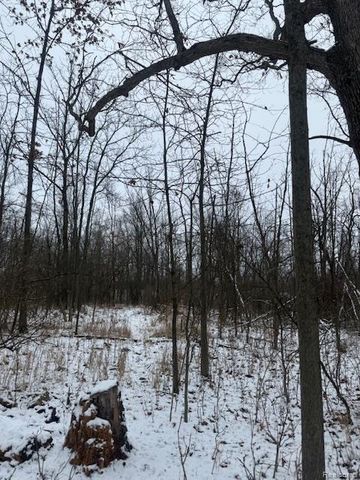 0 Williams Road, Argentine Township, MI 48436