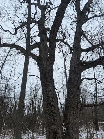 0 Williams Road, Argentine Township, MI 48436