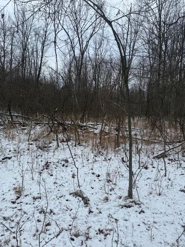 0 Williams Road, Argentine Township, MI 48436