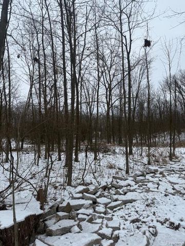 0 Williams Road, Argentine Township, MI 48436