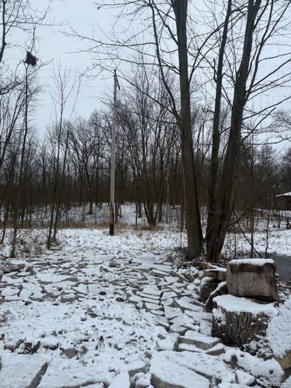 0 Williams Road, Argentine Township, MI 48436