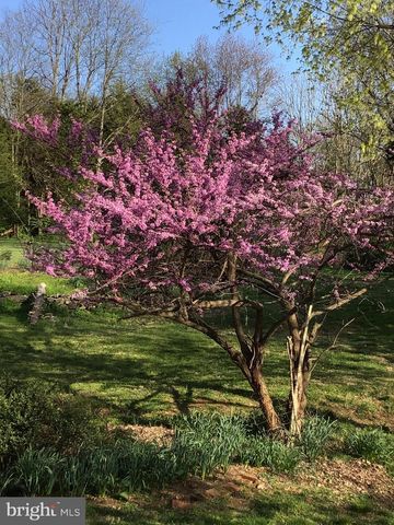 24511 PEACOCK LN, Rapidan, VA 22733