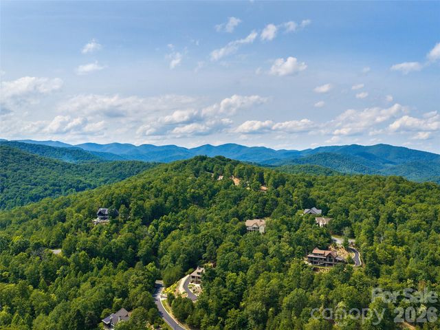 91 Watershed Way, Horse Shoe, NC 28742