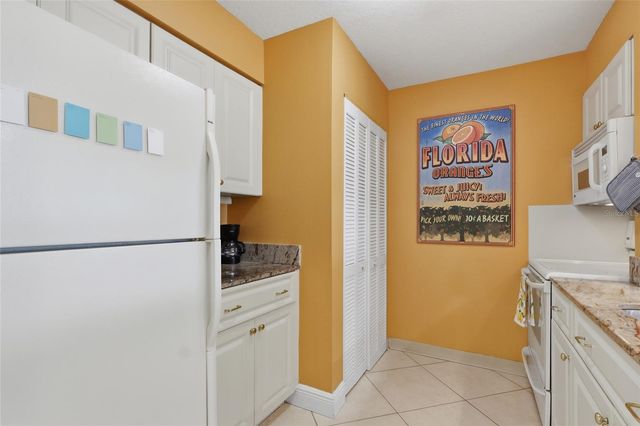 29130 BAY HOLLOW DRIVE 3313, Wesley Chapel, FL 33543